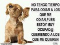/album/fotogaleria/a12-imagenes-con-frases-para-etiquetar-en-portada-de-facebook-12-jpg/